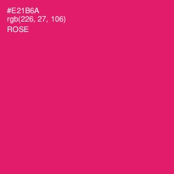 #E21B6A - Rose Color Image