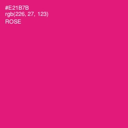 #E21B7B - Rose Color Image