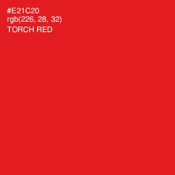 #E21C20 - Torch Red Color Image