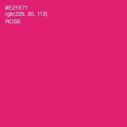 #E21E71 - Rose Color Image