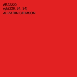 #E22222 - Alizarin Crimson Color Image