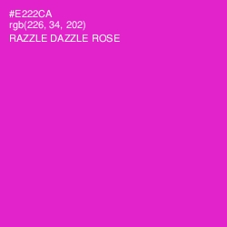 #E222CA - Razzle Dazzle Rose Color Image