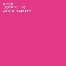 #E23888 - Wild Strawberry Color Image