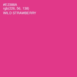 #E2388A - Wild Strawberry Color Image