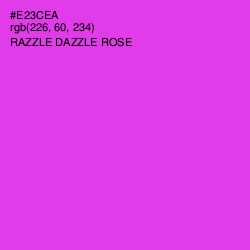 #E23CEA - Razzle Dazzle Rose Color Image