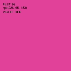 #E24199 - Violet Red Color Image