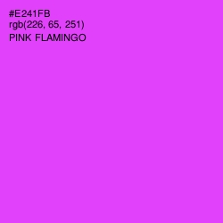 #E241FB - Pink Flamingo Color Image