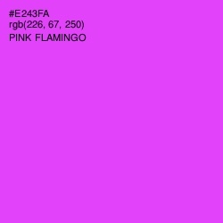 #E243FA - Pink Flamingo Color Image