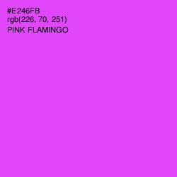 #E246FB - Pink Flamingo Color Image