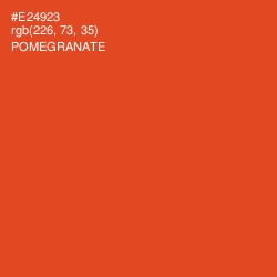 #E24923 - Pomegranate Color Image