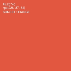 #E25740 - Sunset Orange Color Image
