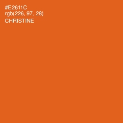 #E2611C - Christine Color Image