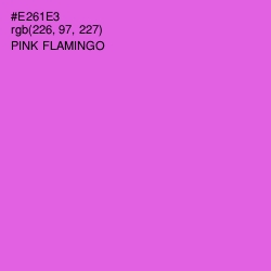 #E261E3 - Pink Flamingo Color Image