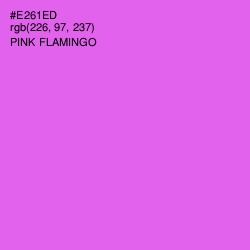 #E261ED - Pink Flamingo Color Image