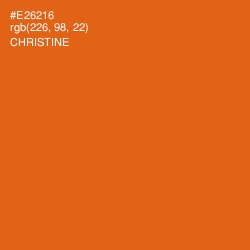 #E26216 - Christine Color Image