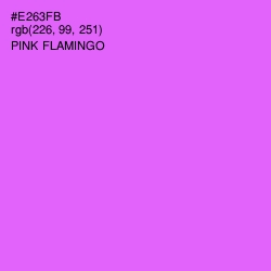 #E263FB - Pink Flamingo Color Image