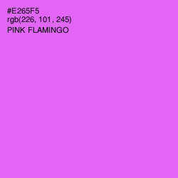 #E265F5 - Pink Flamingo Color Image