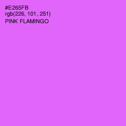 #E265FB - Pink Flamingo Color Image