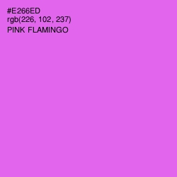 #E266ED - Pink Flamingo Color Image
