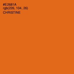 #E2681A - Christine Color Image