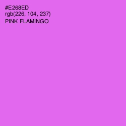 #E268ED - Pink Flamingo Color Image