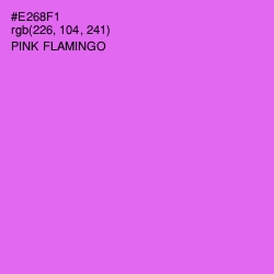 #E268F1 - Pink Flamingo Color Image