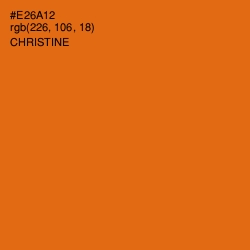 #E26A12 - Christine Color Image