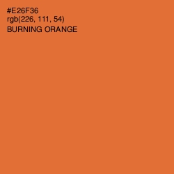 #E26F36 - Burning Orange Color Image