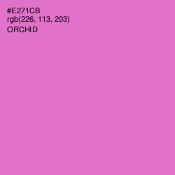 #E271CB - Orchid Color Image
