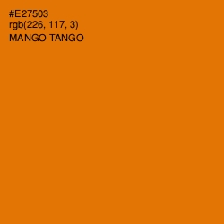 #E27503 - Mango Tango Color Image