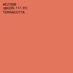 #E2755B - Terracotta Color Image