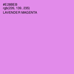 #E28BEB - Lavender Magenta Color Image