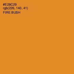 #E28C29 - Fire Bush Color Image