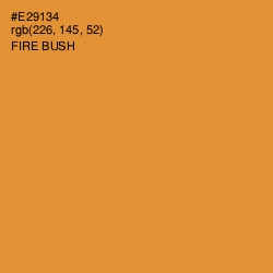 #E29134 - Fire Bush Color Image