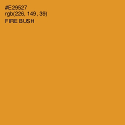 #E29527 - Fire Bush Color Image