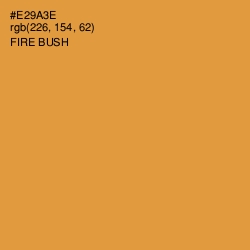 #E29A3E - Fire Bush Color Image