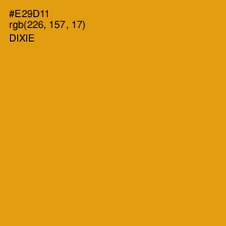 #E29D11 - Dixie Color Image