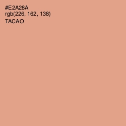 #E2A28A - Tacao Color Image