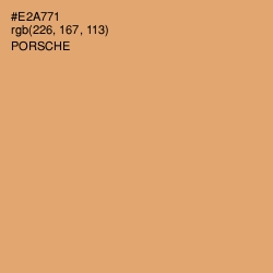 #E2A771 - Porsche Color Image