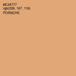 #E2A777 - Porsche Color Image