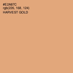 #E2A87C - Harvest Gold Color Image