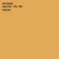 #E2A959 - Anzac Color Image