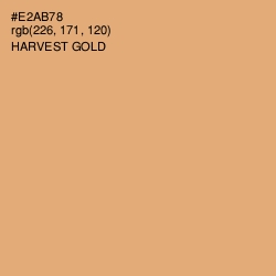 #E2AB78 - Harvest Gold Color Image