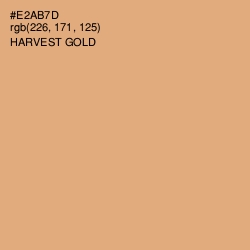 #E2AB7D - Harvest Gold Color Image