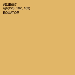 #E2B667 - Equator Color Image