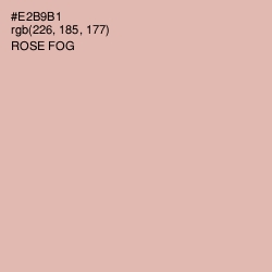 #E2B9B1 - Rose Fog Color Image