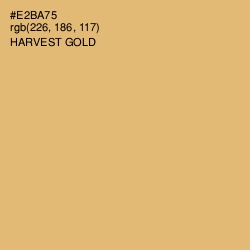 #E2BA75 - Harvest Gold Color Image