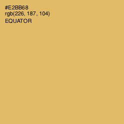 #E2BB68 - Equator Color Image