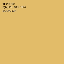 #E2BC69 - Equator Color Image