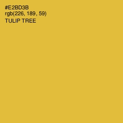 #E2BD3B - Tulip Tree Color Image